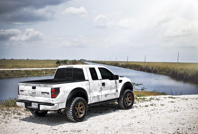 Ford, white, f-150, raptor, форд, svt, белый, раптор