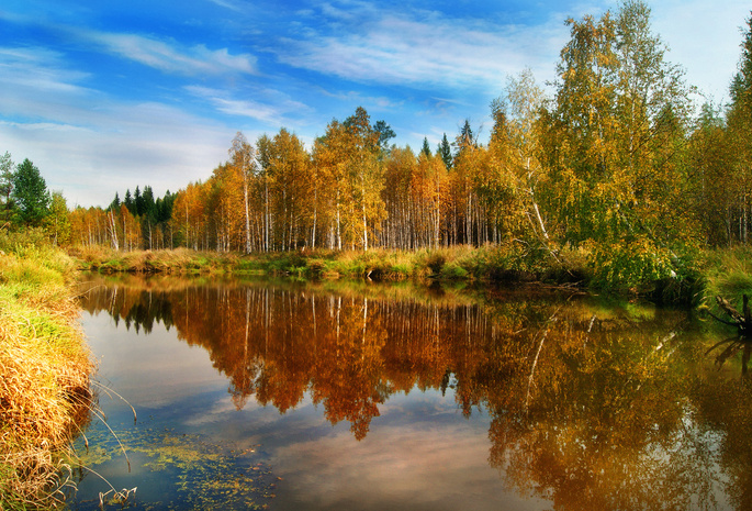 осень, лес, вода, Природа, отражения