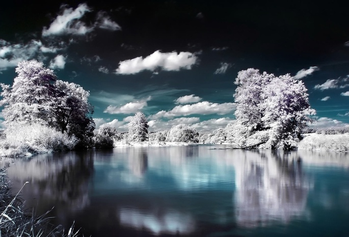 озеро, лед, деревья, отражение