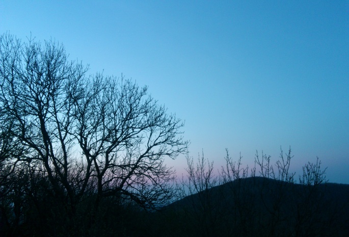 горы, деревья, силуэты, вечер, Крым, Crimea