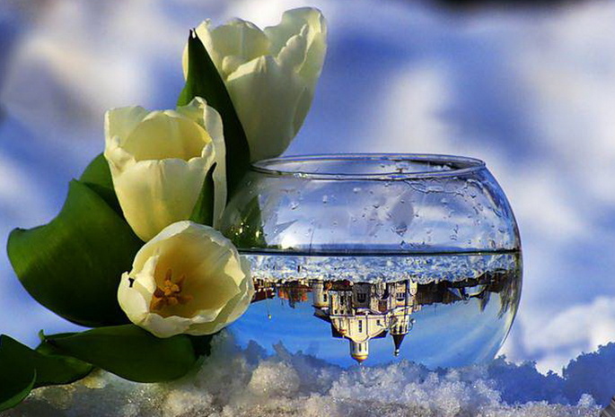 цветок, снег, красиво, дворец