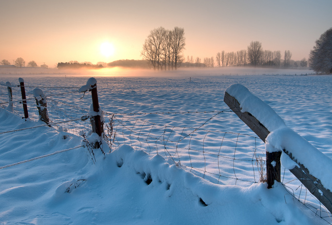 ограждение, деревья, забор, снег, Германия, поле, зима
