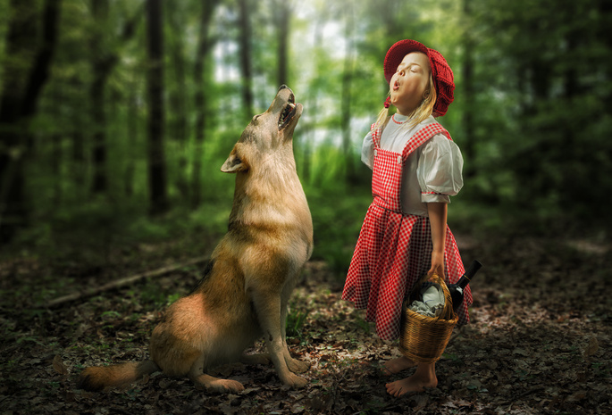 девочка, волк, лес, персонажи, сказка, забавно