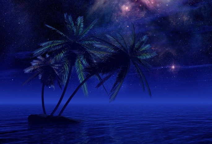 пальма, море, ночь, звезды
