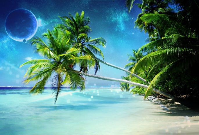 пальма, пляж, море, луна, небо