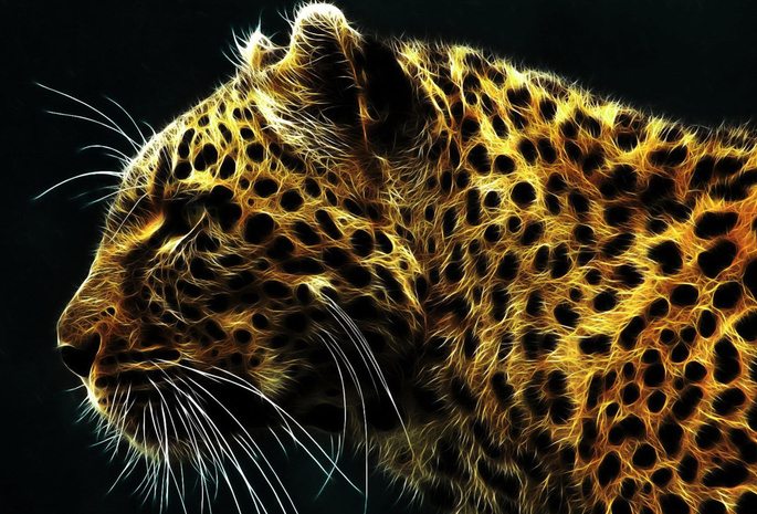 леопард, 3D, обои