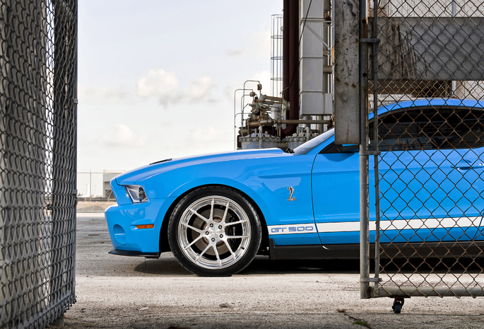 Ford, shelby, шелби, mustang, голубой, blue, gt500, форд, мустанг