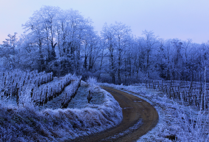 зима, иней, Природа, дорога