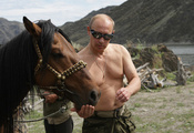 обои, президент россии, премьер-министр россии, природа, лошадь, путин, Вла ...