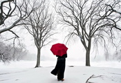 Япония, снег, зонт, сакура, девушка