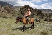 Владимир путин, лошадь, горы, премьер-министр россии, президент россии, при ...