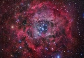 rosette nebula, звезды, Туманность