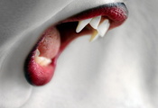 вампир, оскал, Рот, зубы