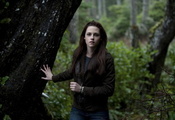 актриса, Kristen stewart, сумерки, кино, лес