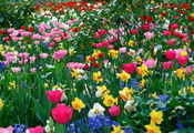 весна, разные, весенние обои, Цветы, много