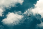 самолет, Небо, облака, шлейф