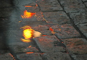 брусчатка, огни, улица, вода, отражение, Лужа