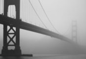 калифорния, ч.б, мост, фото, Туман, золотые ворота