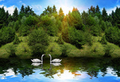 лес, лебеди, река, солнце, Животные, отражение