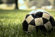 игра, Макро, game, мяч, трава, soccer, sport, газон, матч, футбол
