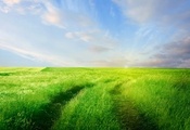поле, облака, зелень, Дорога, трава, горизонт, небо