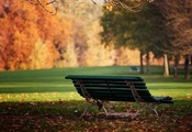 лавочка, Парк, солнышко, скамейка, осень, день, листья