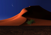 пустыня, Respite, ночь, песок, дюны, луна, дерево, digital