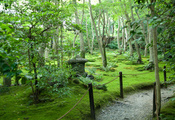 деревья, лето, тропинка, сад, Япония
