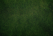 газон, обои, green, Текстура, зелень, трава