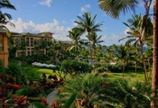 бассейн, цветы, пальмы, Гавайи, отель, море