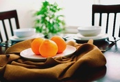 фрукты, стол, апельсины, кружка, Еда, тарелка, стулья