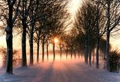 зима, солнце, деревья, Природа, дорога, свет