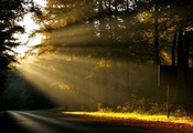 рассвет, дорога, Природа, лес, солнце, утро, деревья