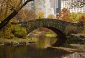 деревья, Мост, листья, new york, дома, весна, город, речка