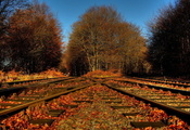 железная дорога, природа, листья, Осень