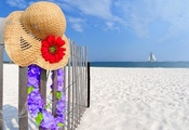 летом, пейзаж, небо, шляпа, Природы, цветы, песок, пляж