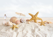 песок, ракушки, Пляж, раковины, морская звезда