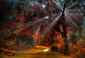 свет, дерево, дорога, осень, Природа