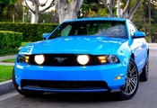 2010, gt, mustang, Ford