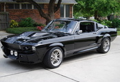 shelby, Ford mustang, gt500