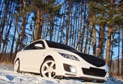 Mazda 6, деревья, снег