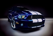 Ford, мустанг, shelby gt-500