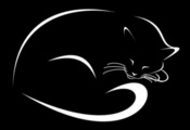 рисунок, Черный фон, кошка