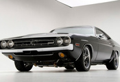 challenger, Dodge, 1971, muscle