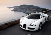 белый, Bugatti, дорога, море, veyron
