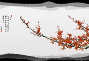 сакура, Дерево, япония, иероглиф