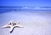 море, вода, Звезда, песок