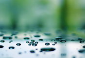 капли, drops, вода, water, отражение, Макро, 2560x1600, macro, reflection