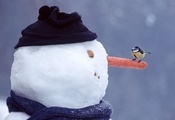 орех, снеговик, рот, Зима, морковь, нос, снег, глаза