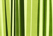 бамбук, Green, bamboo, зеленый, текстура, полосы